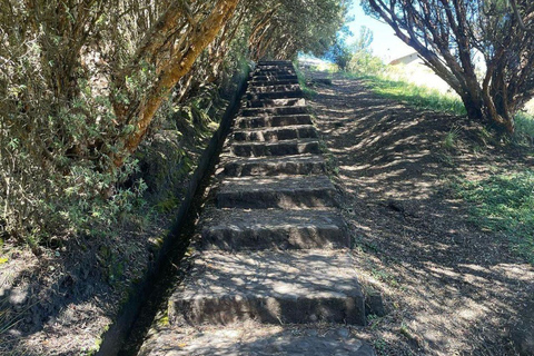 Le meraviglie di Cumbemayo: Alla scoperta della foresta di pietra