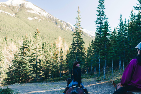 Pemberton Hill: Scenic Horseback Ride for Beginners