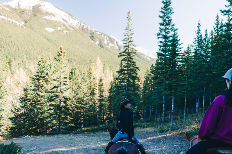 Pemberton Hill: Scenic Horseback Ride for Beginners