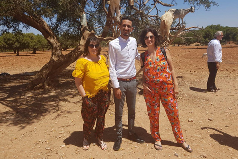 Depuis Marrakech : excursion d'une journée à Essaouira