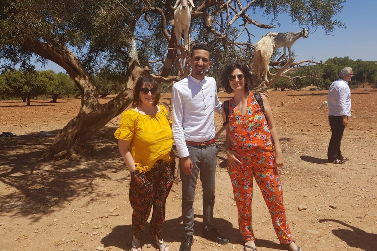 Depuis Marrakech : excursion d'une journée à Essaouira