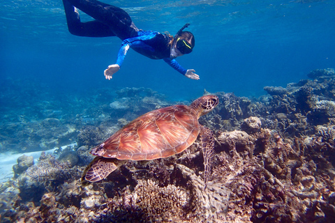 Perth to Broome 10-Day Tour via Ningaloo & Karijini