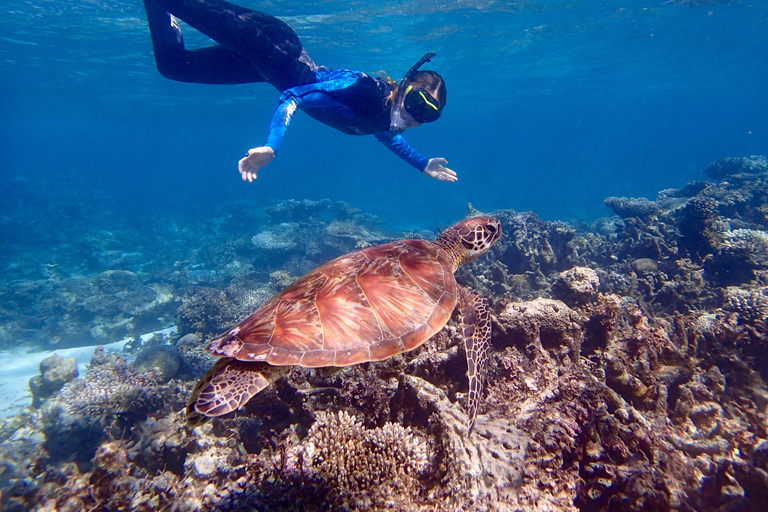 Perth to Broome 10-Day Tour via Ningaloo & Karijini