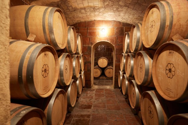 Visit Finca Viladellops Eco-Tour Through Vineyards and Winemaking in Sant Pere de Ribes