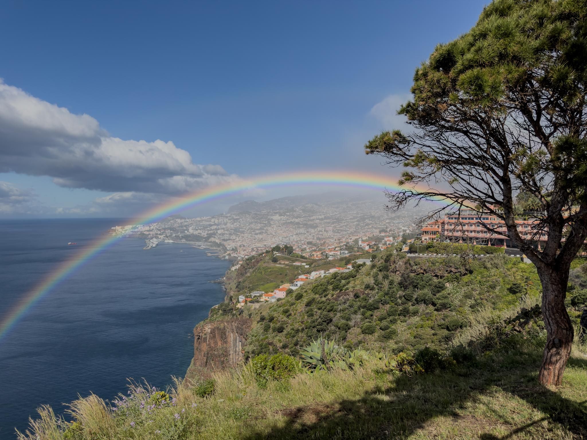 Madeira: Private Tuk-Tuk-Tour – Altstadt, Ausblicke und Berge