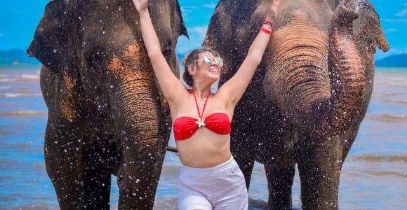 Phuket: Lily Elephant Halbtagestour am Strand mit Mittagessen