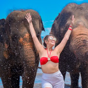 Phuket: Lily Elephant Half-Day Trip on the Beach with Lunch