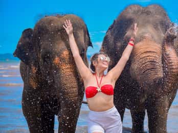 Phuket: escursione al Lily Elephant Camp con spiaggia