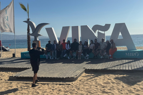 Viña del Mar and Valparaiso: Private Tour