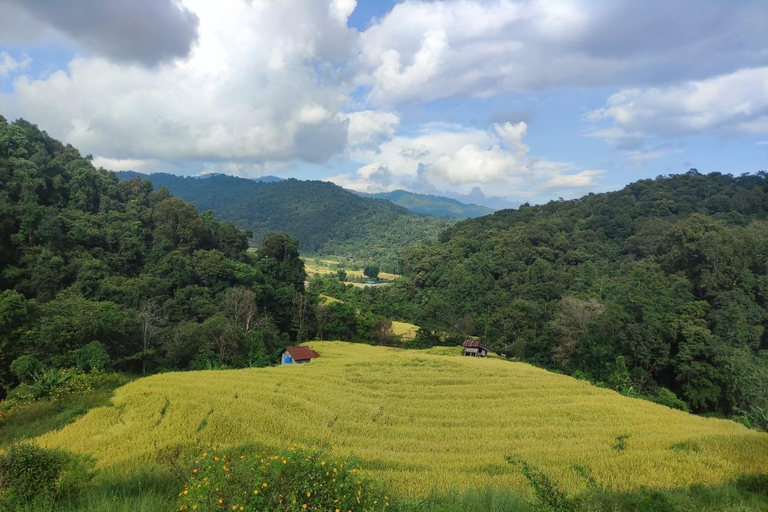 Doi Inthanont Soft trek Pha Dork Siew Waterfall