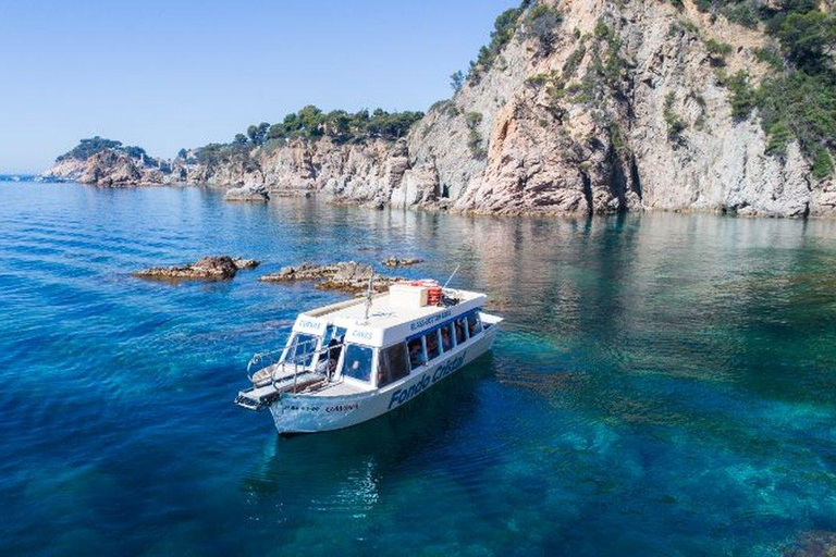 From Barcelona: Tossa de Mar Day Trip with Small Group
