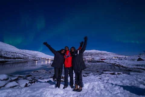 From Tromsø: Northern Lights Guided Bus Chase