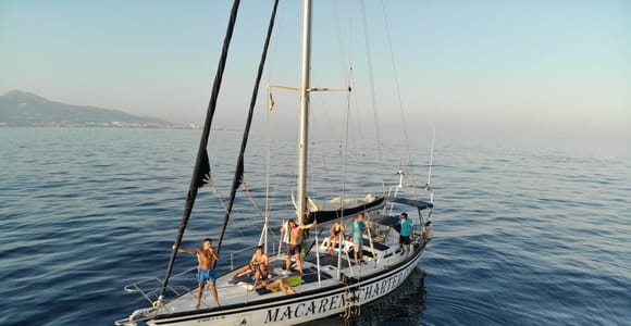 Fuengirola: Delfinbeobachtungstour mit Getränken