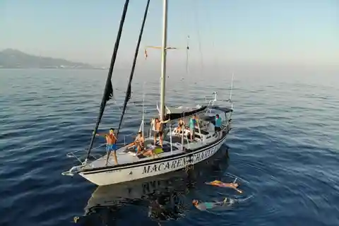 Fuengirola: Dolphin-Watching Sailing Tour with Drinks