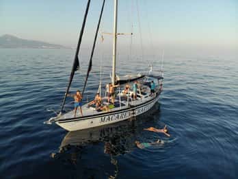 Fuengirola: Paseo en velero para avistar delfines y bebidas