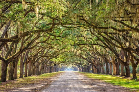 Savannah : visite guidée en voiturette de golf du cimetière de Bonaventure