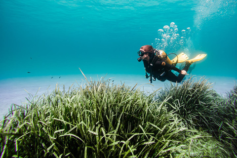 Mallorca: Mit dem Boot tauchen gehen