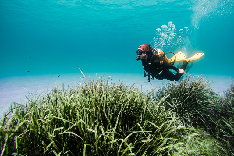 Mallorca: Mit dem Boot tauchen gehen