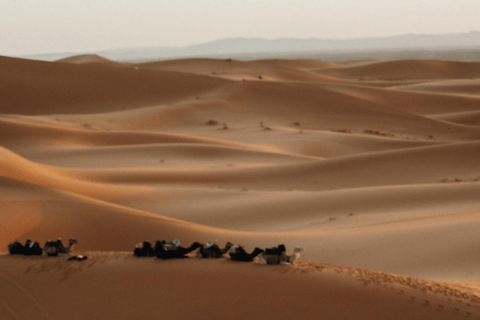 Fes: 3-Day Desert Tour to Agadir via Merzouga Desert Shared Standard Tour