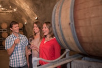 From Queenstown, 3 Winery Tour with Gourmet Wine & Lunch - Hizvo
