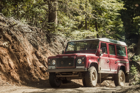 Bariloche: Canopy in Cerro Lopez