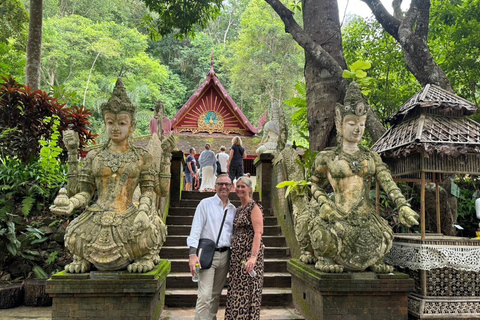 Chiang Mai: Santuario degli elefanti, sentiero dei monaci e tour di Doi SuthepPunto di incontro