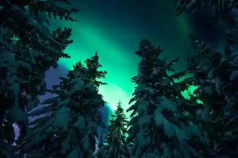 Tromsø: Hunting the Northern Lights with Professional Photographer in Italian