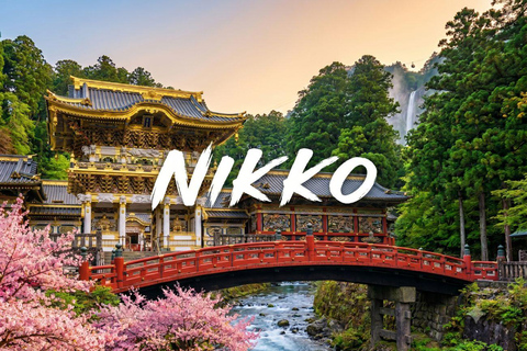 3/5/7 Days Private Japan Tour with English Speaking Guide 3 Days Private Tokyo or Kyoto Tour with English Guide