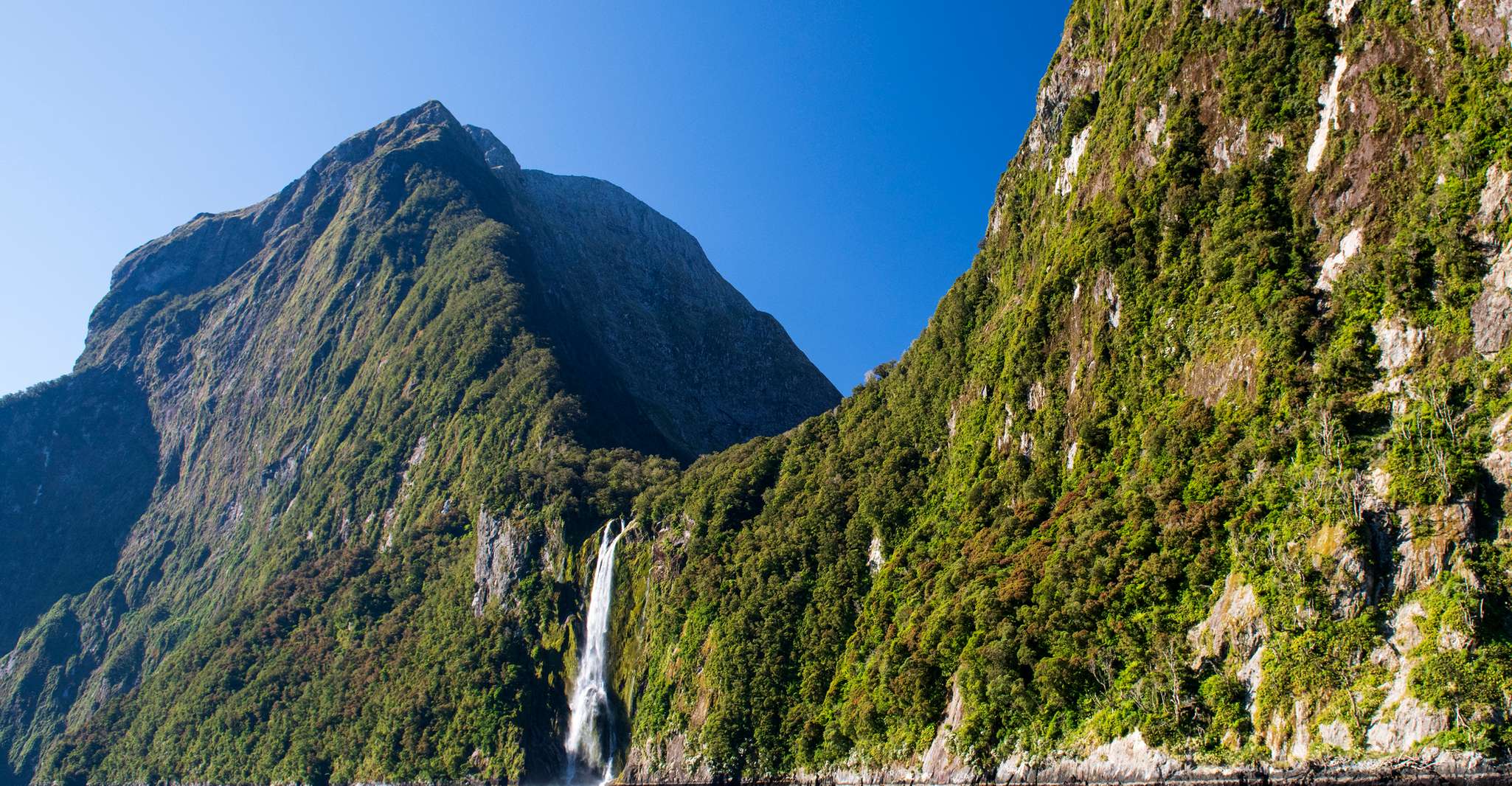 From Queenstown, Milford Sound Full-Day Tour with Lunch - Housity