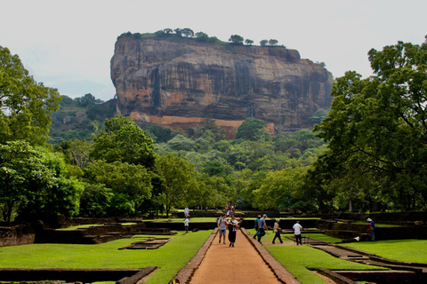 Transfer to Kandy/Sigiriya/Dambulla from CMB Airport/Colombo Transfer to Sigiriya from Colombo Airport (CMB)/Colombo