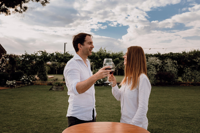 Etna : Urban Winery, promenade dans les vignobles et dégustation de vin au coucher du soleil