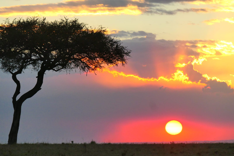 3 dias e 2 noites em um grupo de Maasai Mara em um landcruiser