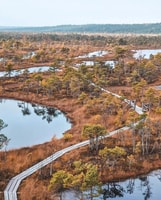 Kemeri National Park Guided Tour - Housity