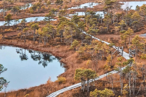 Paisajes de Letonia: Kemeri y Jurmala Tour guiado