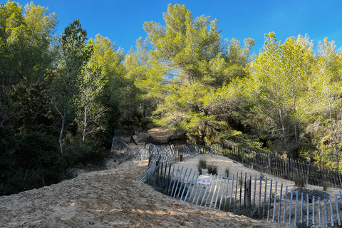 Saint-Cyr-sur-mer: guided hike to the Sand Dune