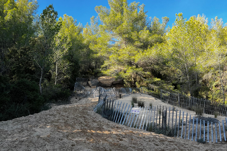 Saint-Cyr-sur-mer: guided hike to the Sand Dune