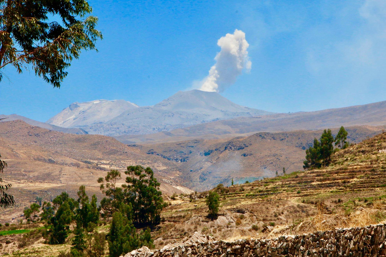 De Arequipa: Excursão ao Cânion do Colca, terminando em Puno