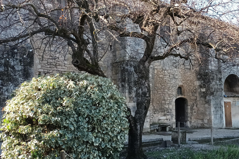 夏季之旅，4天/ 3晚，骑电动自行车探索普罗旺斯夏季之旅，4天/3夜，骑电动自行车探索普罗旺斯