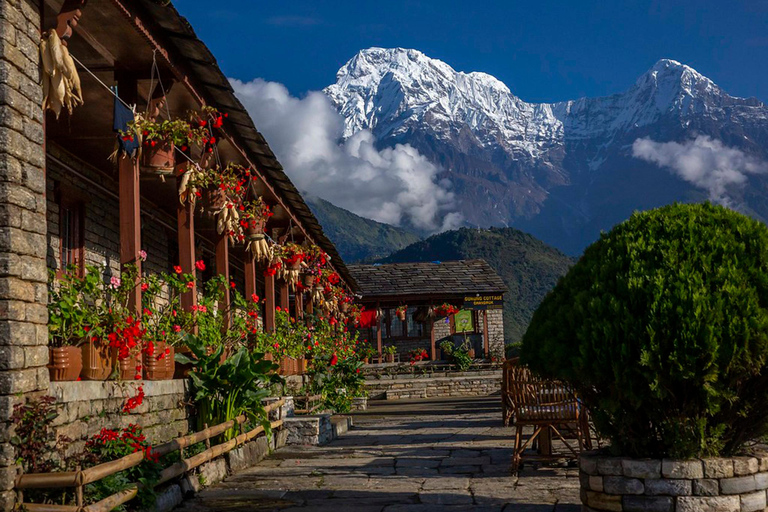 2N/3D Ghorepani-Poonhill-Ghandruk (GPG) Wandertour