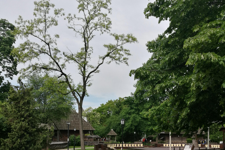 Visite guidée du musée du village de Bucarest