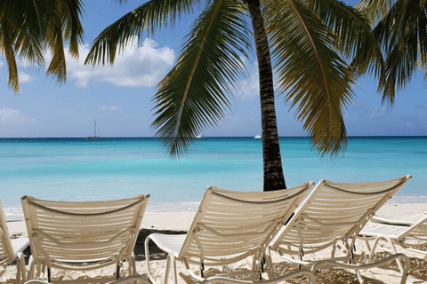 Paradisiacal Getaway: Soana Island from Punta Cana