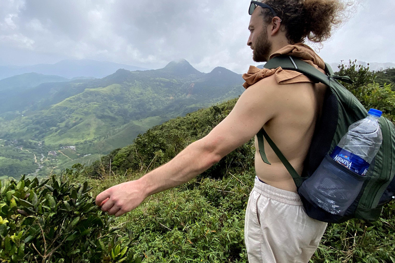 Tedo 7 Waterfalls Peak Adventure – Knuckles Mountain Range