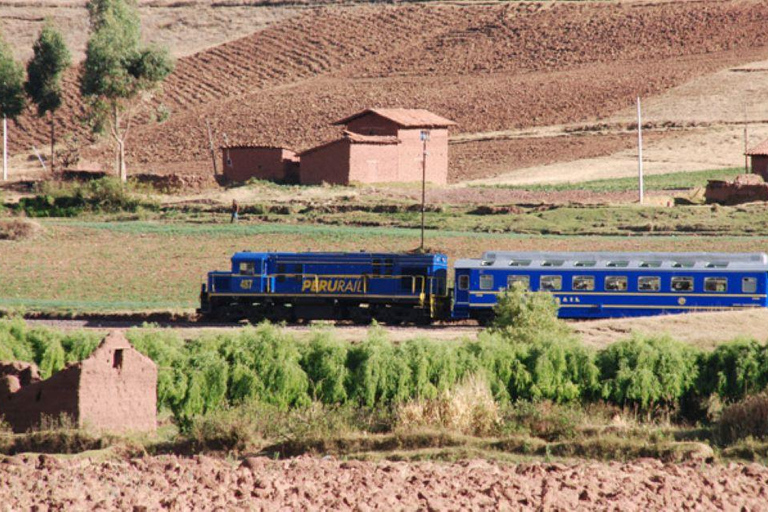 Von Cusco aus: Machu Picchu EintagestourEin-Tages-Tour nach Machu Picchu von Cusco aus, Vistadome Zug