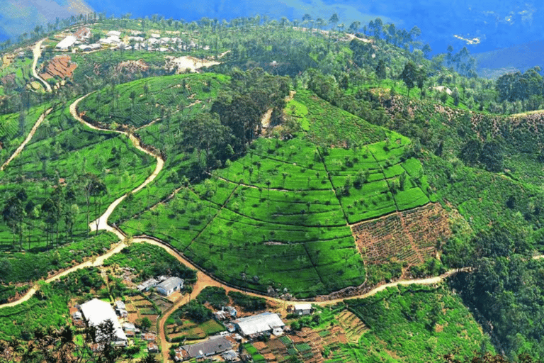 Ella: Hill Country Train Ride & Lipton’s Seat Tuk-Tuk Tour