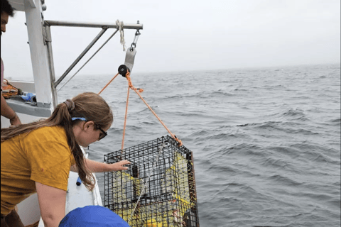 Belfast Lobster Fishing Experiences — Midcoast Maine Haul Traps & Feast: Maine Lobster Boat Experience