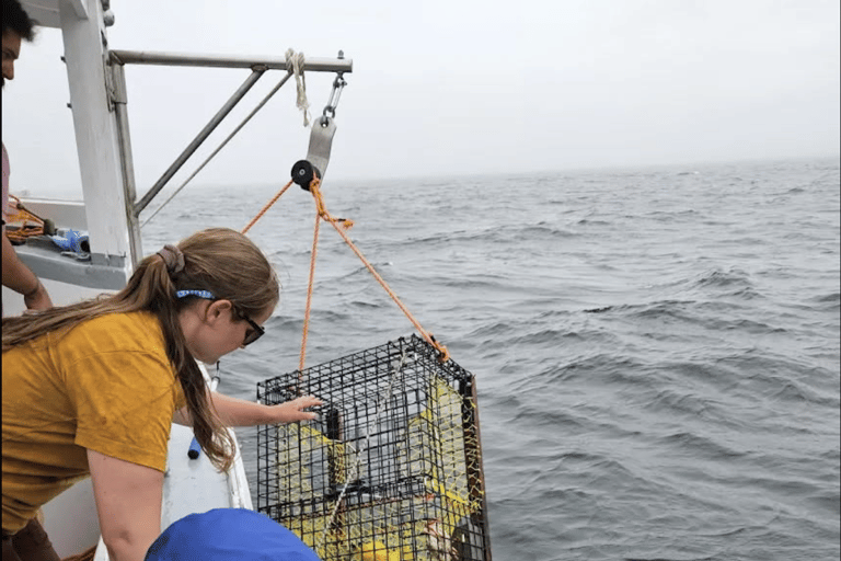 Belfast Lobster Fishing Experiences — Midcoast Maine Haul Traps & Feast: Maine Lobster Boat Experience