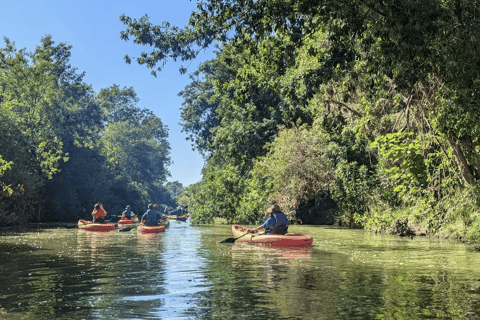 Los Angeles: Guided Kayak Tour on the LA River