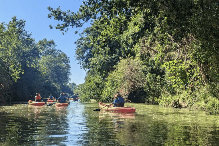 Los Angeles: Guided Kayak Tour on the LA River