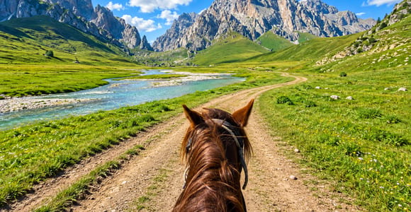 Tirana, Durrës, or Golem: Countryside Horseback Riding Tour