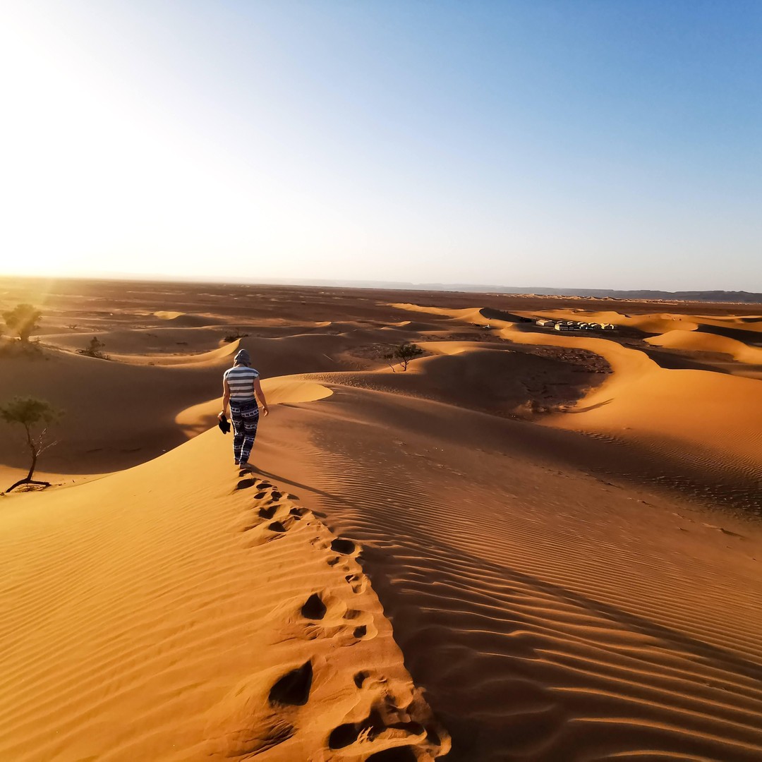 Depuis Zagora : Balade à dos dos de chameau à Erg Chigaga (nuit) - quad